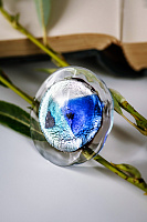 Кольцо Tartaruga (синий, голубой, прозрачный, регулир) Италия ENZO BENZO 